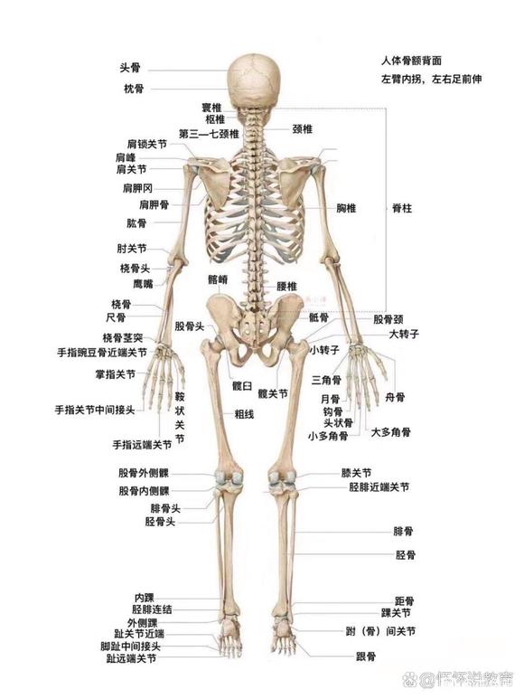 ”早上读慧剑斩魔的文章读到一句话