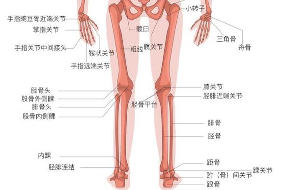 ”一定不要独处！！！