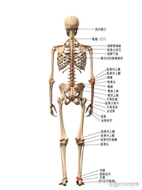 ”戒色遇到念头困难的斗争看下这个。
