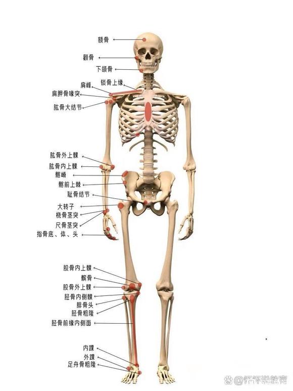 ”关于遗精方面的问题