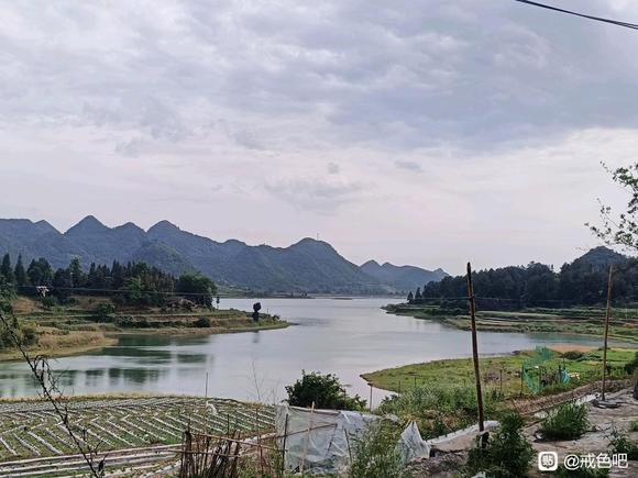 ”#微信看病卖药是假的#戒第三天及生活