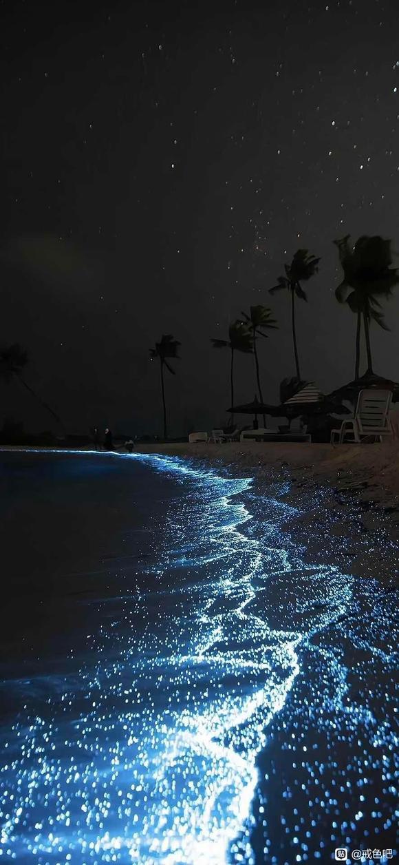 ”#微信看病卖药是假的#拼了！倒计时180天