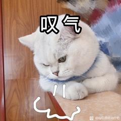 ”彻底修心戒色到达403天也有了些恢复，想聊一些看到性命攸关的事