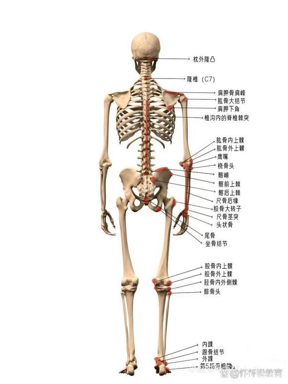 ”怎么这么难啊