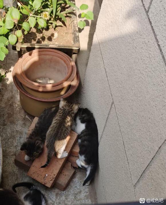 ”第五十四天打卡