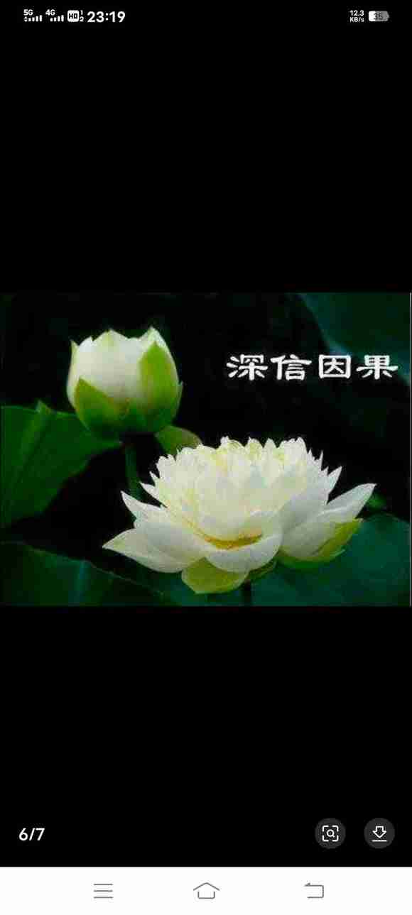 ”深信因果，因果不虚。