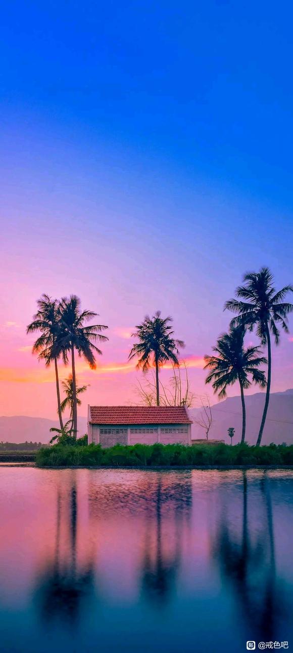 ”幻想色是黄吗