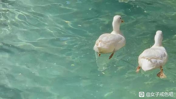 ”戒色一年零十个月的经验心得