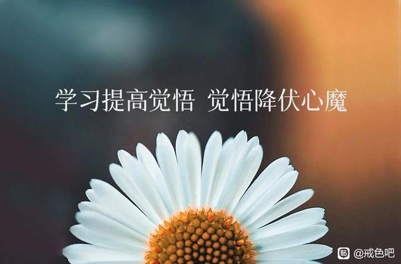 ”jiese过程中，大脑中不良画面很多，怎么