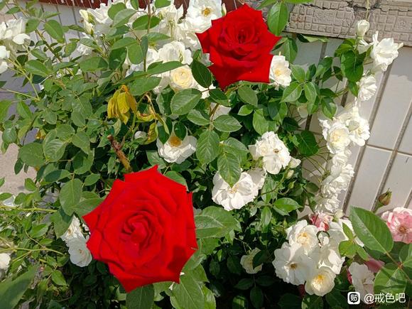 ”sy成瘾最可怕的地方到底是什么