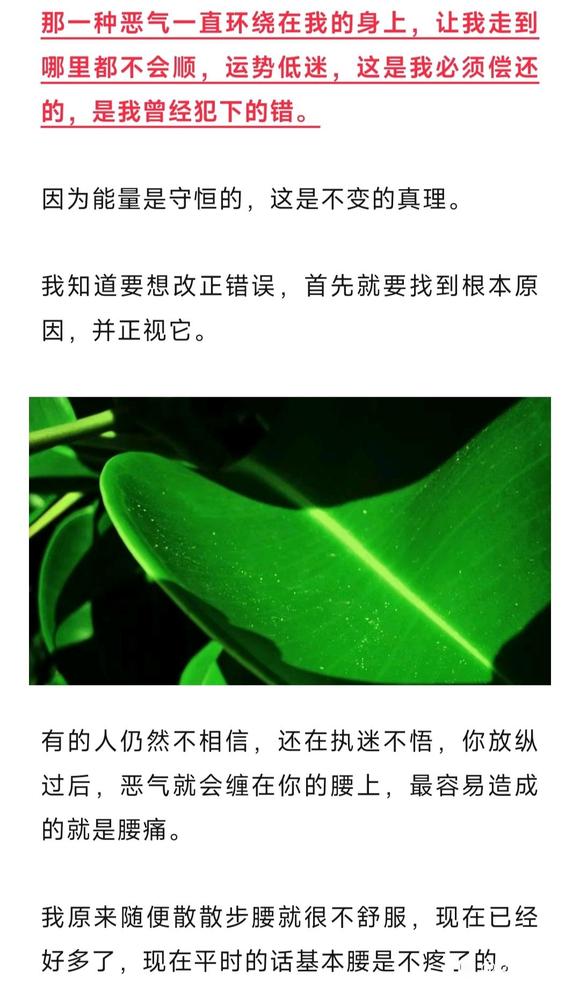 ”放纵导致我处处不顺、没有尊严，如今痛改前非
