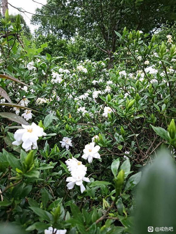 ”救急！来个人陪我聊天