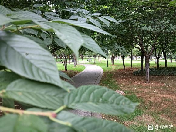 ”救急！来个人陪我聊天