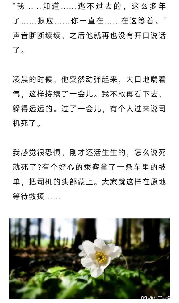 ”高速事故中的诡异一幕，让我愈发坚信世上没有无缘无故的车祸