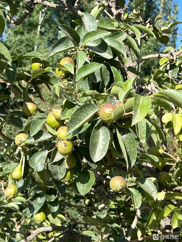 ”第六十四天打卡