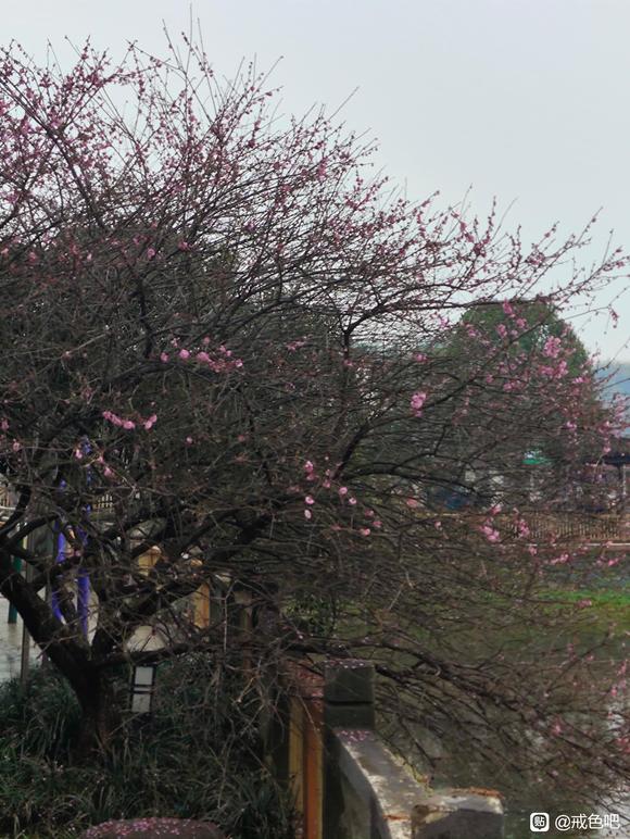 ”坚决断邪淫！