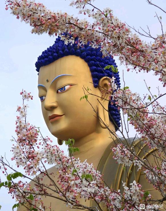 ”【戒友师兄投稿】邪yin30年致膀胱癌，戒色行善能救他吗？