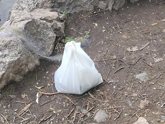 ”第一次放生，希望可以坚持下去！