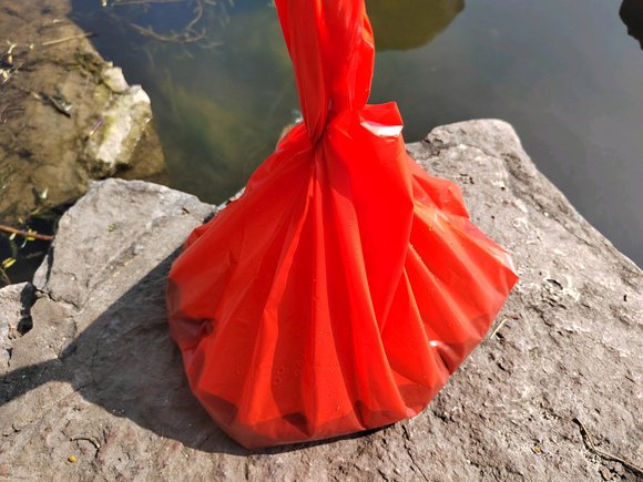 ”第一次放生，希望可以坚持下去！