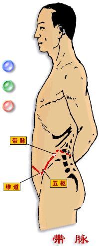 ”减肥、排毒秘法