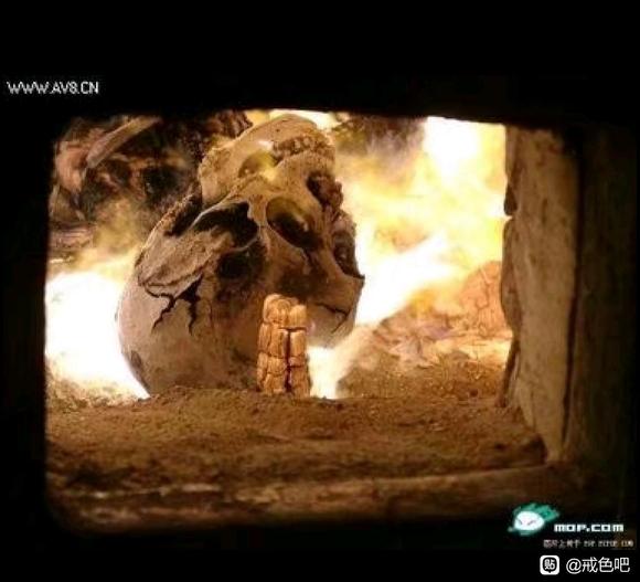 ”若是被皮囊迷惑，可进来看清楚