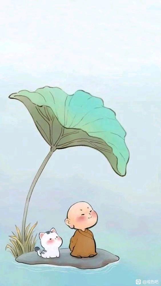 ”今日经验分享