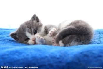 ”22女生的经历和劝告