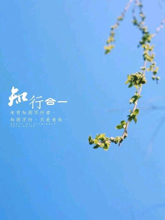 ”因长期看h，现在记忆力不行，有没有人帮帮我