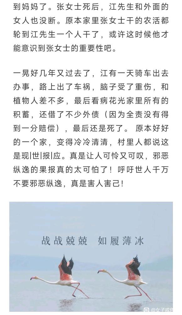 ”原本平凡而温馨的一切让自己一手作没了