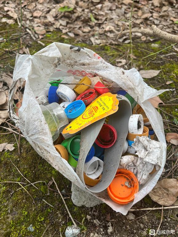 ”端午溜达在小树林，顺便保护下环境