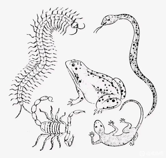 ”俗称的五月九毒日来临